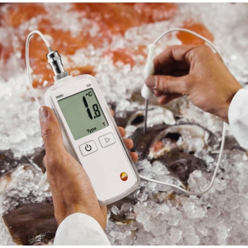Termometro portatile Testo 108-2