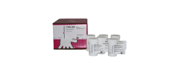 Decontaminante Autoclave-Exitus Plus ml. 1000 - confezione da 6
