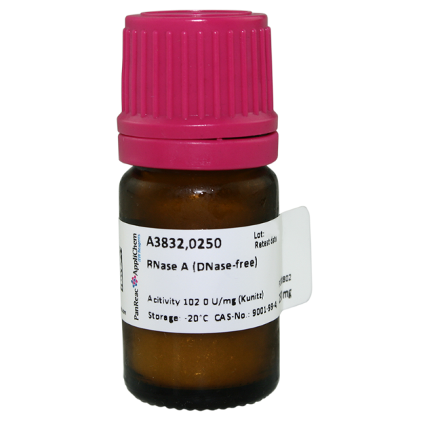 RNase A (DNase-free) mg. 250