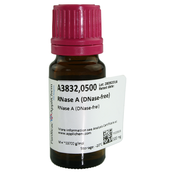 RNase A (DNase-free) mg. 500