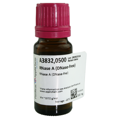 RNase A (DNase-free) mg. 500