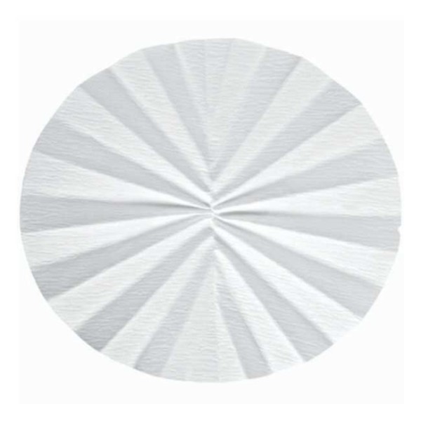 Carta da filtro grado 595 1/2 qualitativa pieghettata 320 mm. confezione da 100 Carta da filtro grado 595 1/2 qualitativa pieghettata 320 mm. confezione da 100