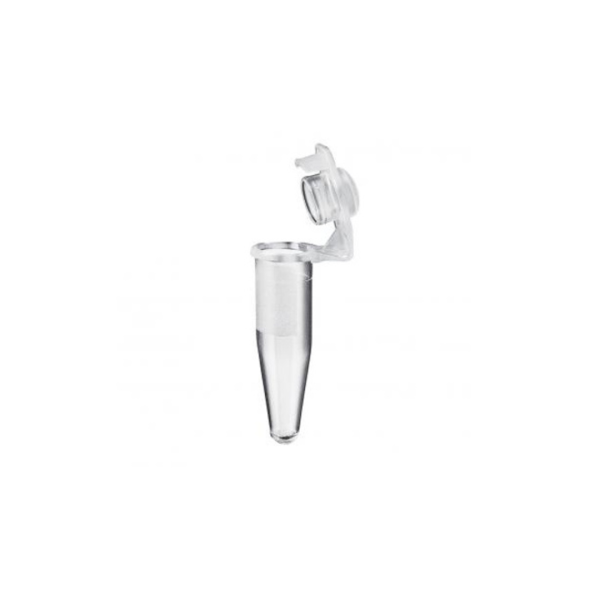 Microprovette per pcr ml. 0,2 coniche con tappo a cupola con scudo di protezione conf. da 1000 Microprovette per pcr ml. 0,2 coniche con tappo a cupola con scudo di protezione conf. da 1000