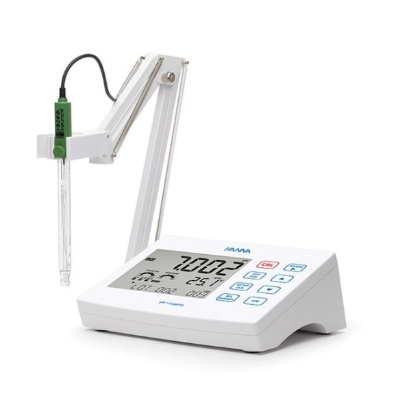 Phmetro da banco HI2621 con elettrodo ph HI11310 con registrazione dati