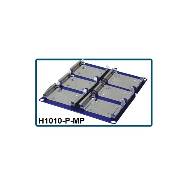 Piattaforma per 6 micropiastre