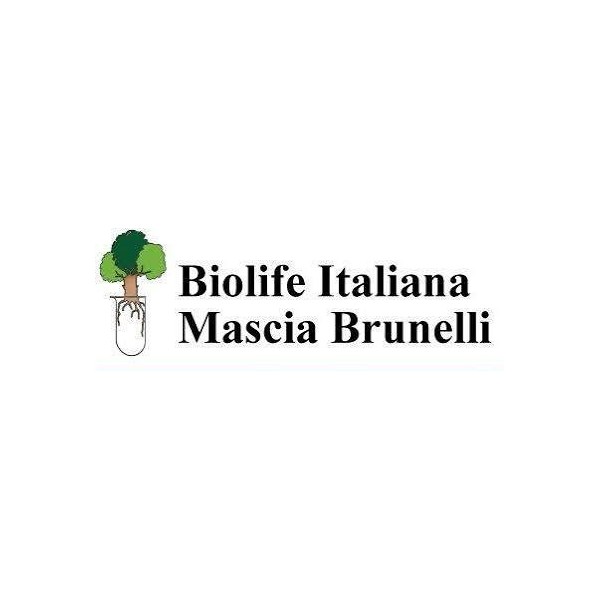 MHSCT (Indicatore biologico di sterilizzazione a vapore) 24 test
