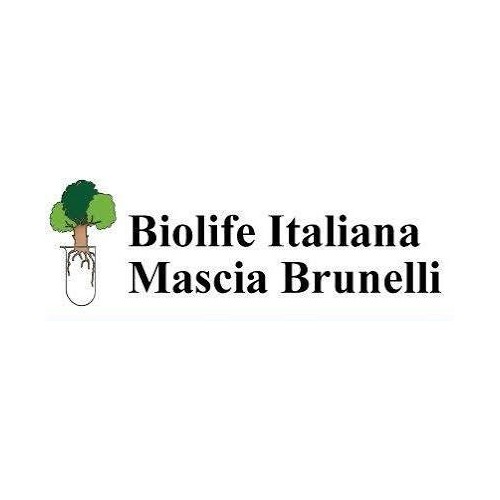 MHSCT (Indicatore biologico di sterilizzazione a vapore) 24 test