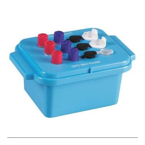 Mini cooler True North -20 °C posti 3x4