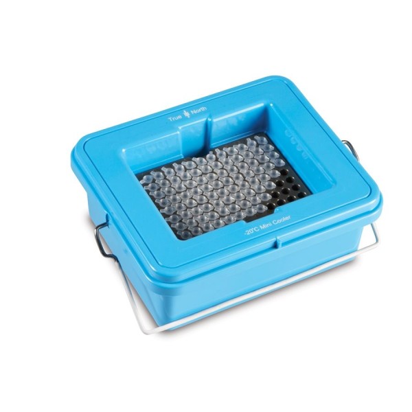 Mini cooler True North -20 °C posti 8x12