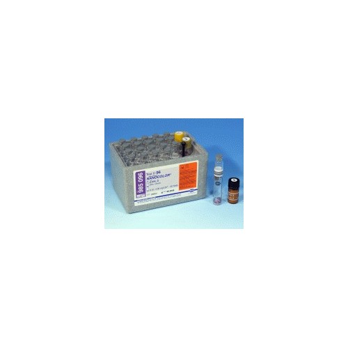 Zinco 4